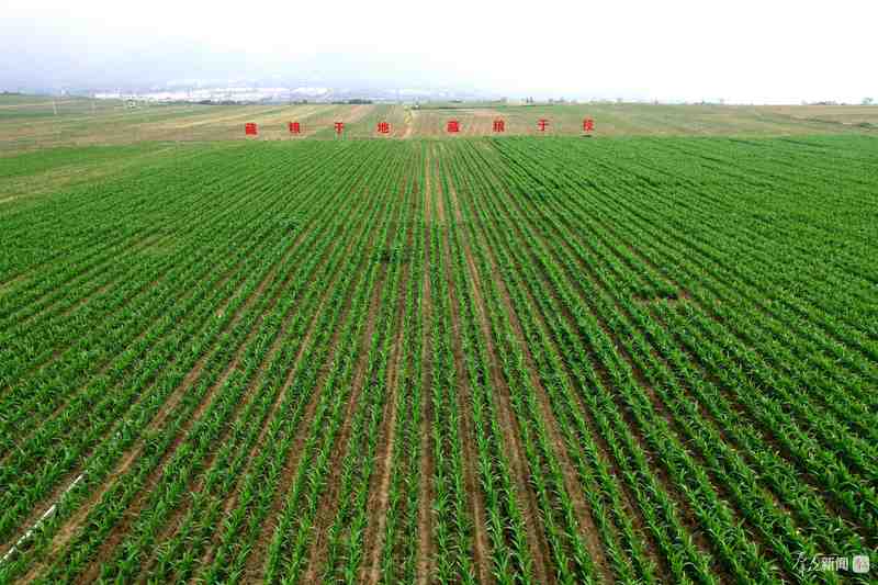  土壤修复筑基；轮作优化提质；绿色防控护航——西安农业绿色转型路径探析。 新闻