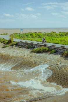 2026年Q1：海南自贸港封关破局的关键路径 IT技术