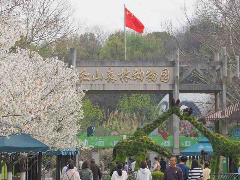  亲子出行的焦虑解构：为何南京能成为家长心中的研学首选地 情感心理