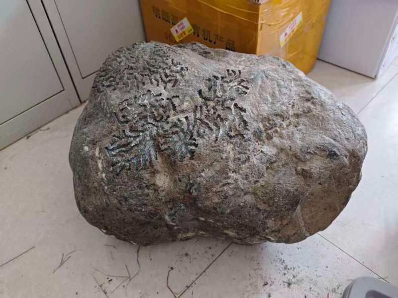 翡翠原石拍卖背后的竞价逻辑与实战策略