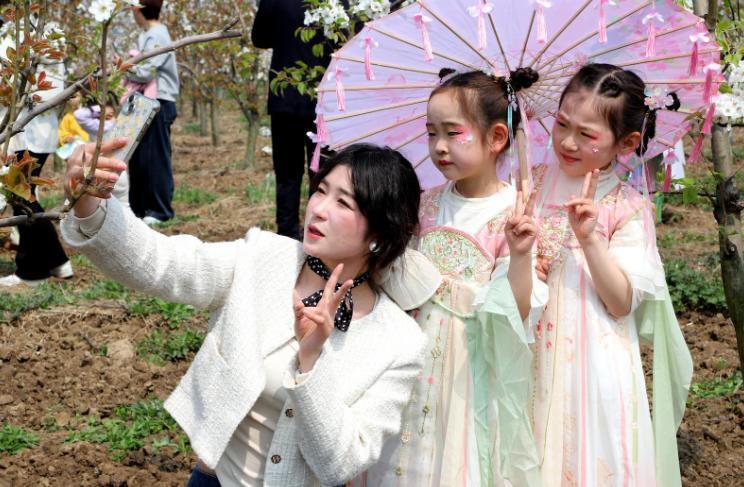  从「赏花经济」到「致富闭环」：利辛县新张集乡梨园产业升级深度复盘 文化旅游