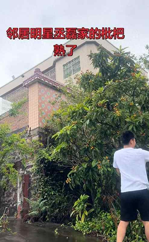 从东莞瓦房到《云之羽》:丞磊逆袭背后的底层成长方法论 娱乐新闻