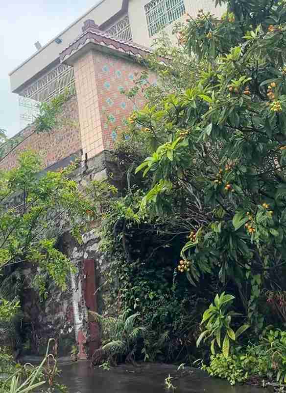 从东莞瓦房到《云之羽》:丞磊逆袭背后的底层成长方法论 娱乐新闻