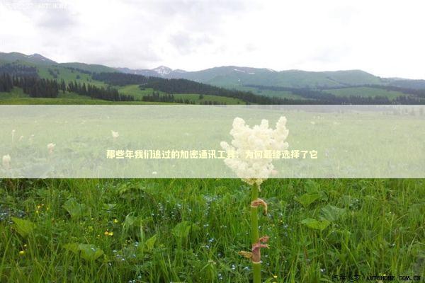 那些年我们追过的加密通讯工具：为何最终选择了它