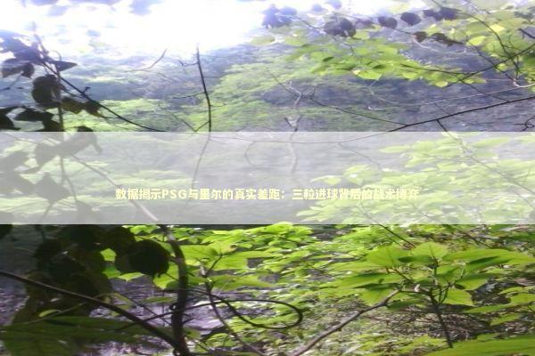 数据揭示PSG与里尔的真实差距：三粒进球背后的战术博弈 体育新闻