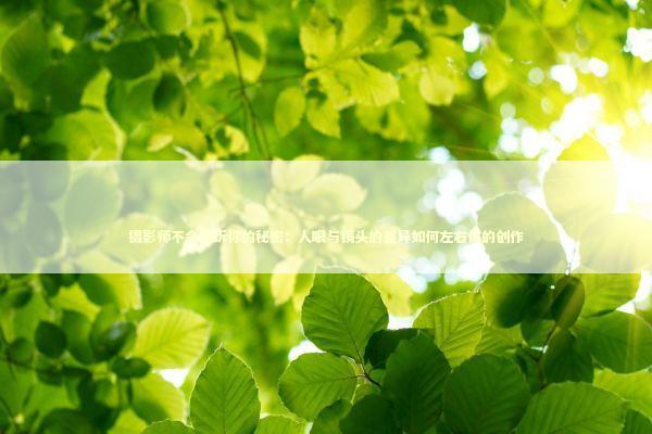 摄影师不会告诉你的秘密：人眼与镜头的差异如何左右你的创作 新闻