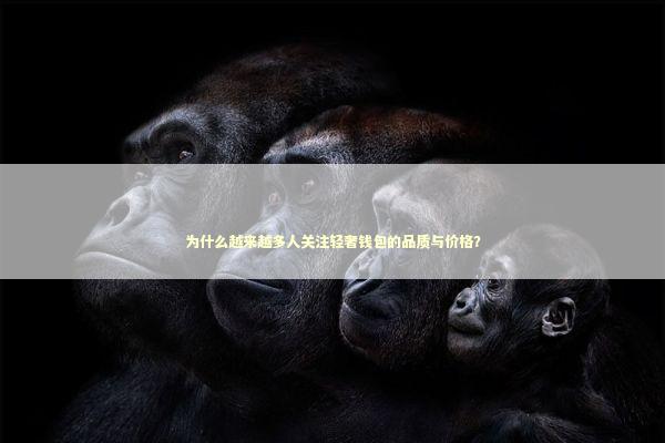 为什么越来越多人关注轻奢钱包的品质与价格? 为什么越来越多人关注轻奢钱包的品质与价格? 时尚用品