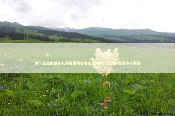 为什么越来越多人开始重视资金安全防护?背后的真相令人警醒 为什么越来越多人开始重视资金安全防护?背后的真相令人警醒 新闻